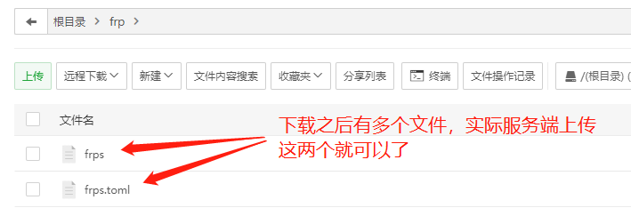 20240421171215855-frp2